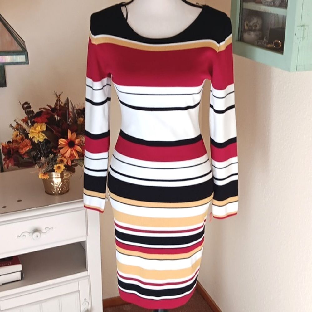 Codigo Striped Knit Dress